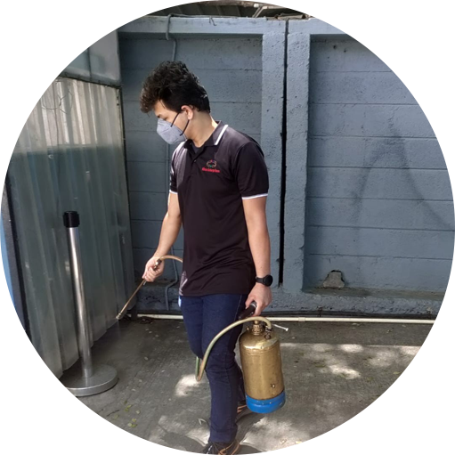 Pest Control Service in Bangalore