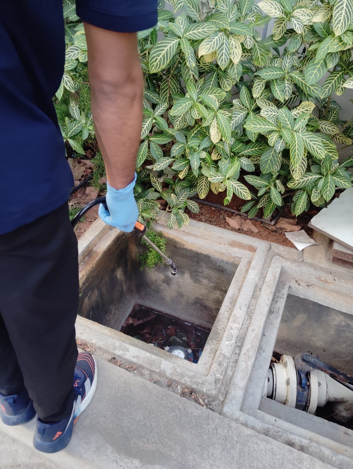 Kiran Pest Control field work 24