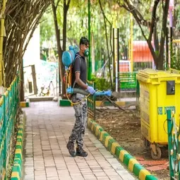 Pest control service in Sarajapura Road