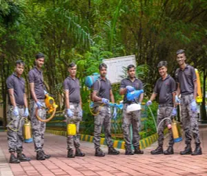 Pest control service in Akshaya Nagar