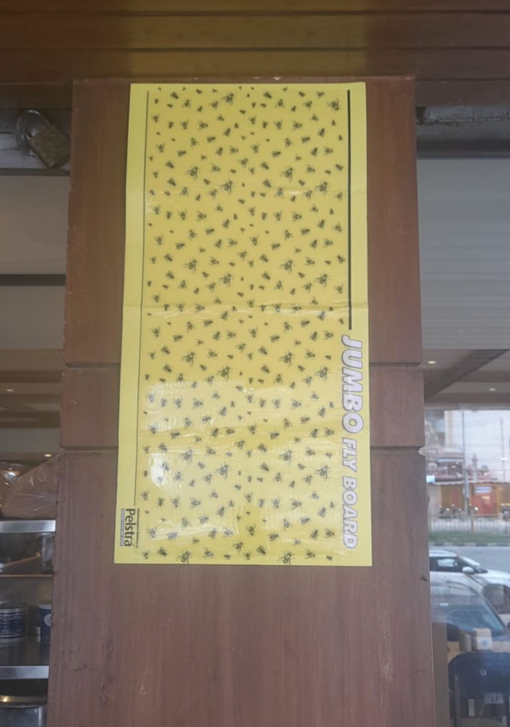 Flying insects captured on a jumbo fly glue board